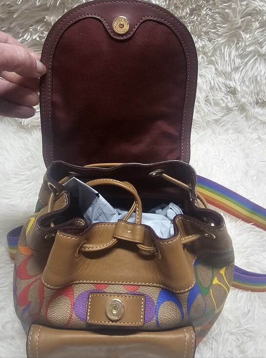 Coach EUC C4097 Pennie Backpack 22 In Rainbow Signature Canvas & Smooth Leather main image 12